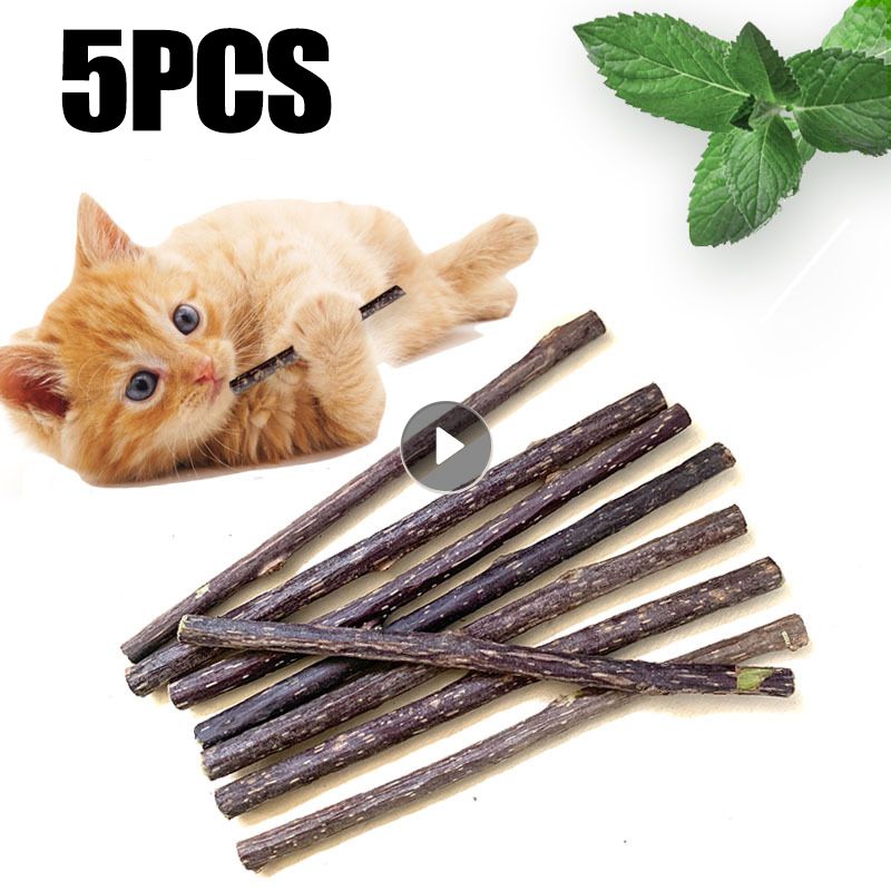 5 pieces of cat teething toys